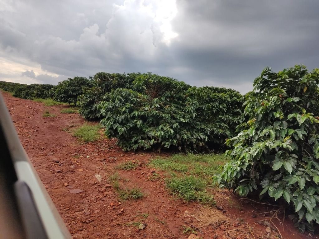 Fazenda à venda com 2 quartos, 3388000m² - Foto 9