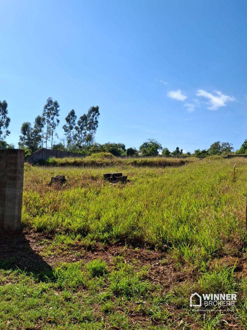 Terreno, 2100 m² - Foto 3