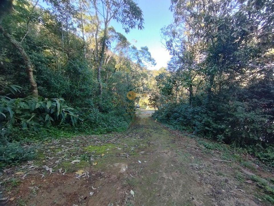 Terreno à venda, 10000m² - Foto 6