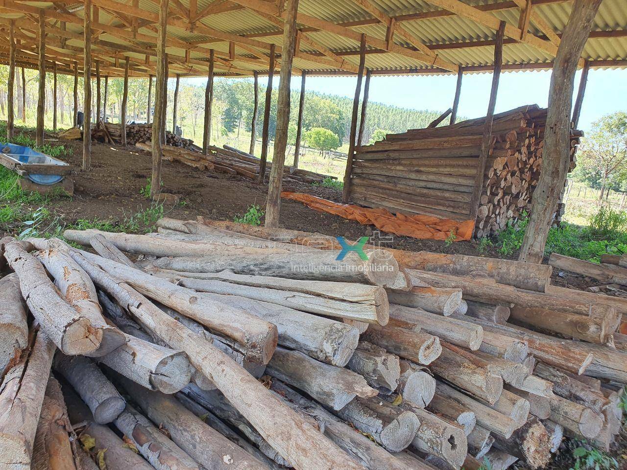 Fazenda à venda, 4000000M2 - Foto 5