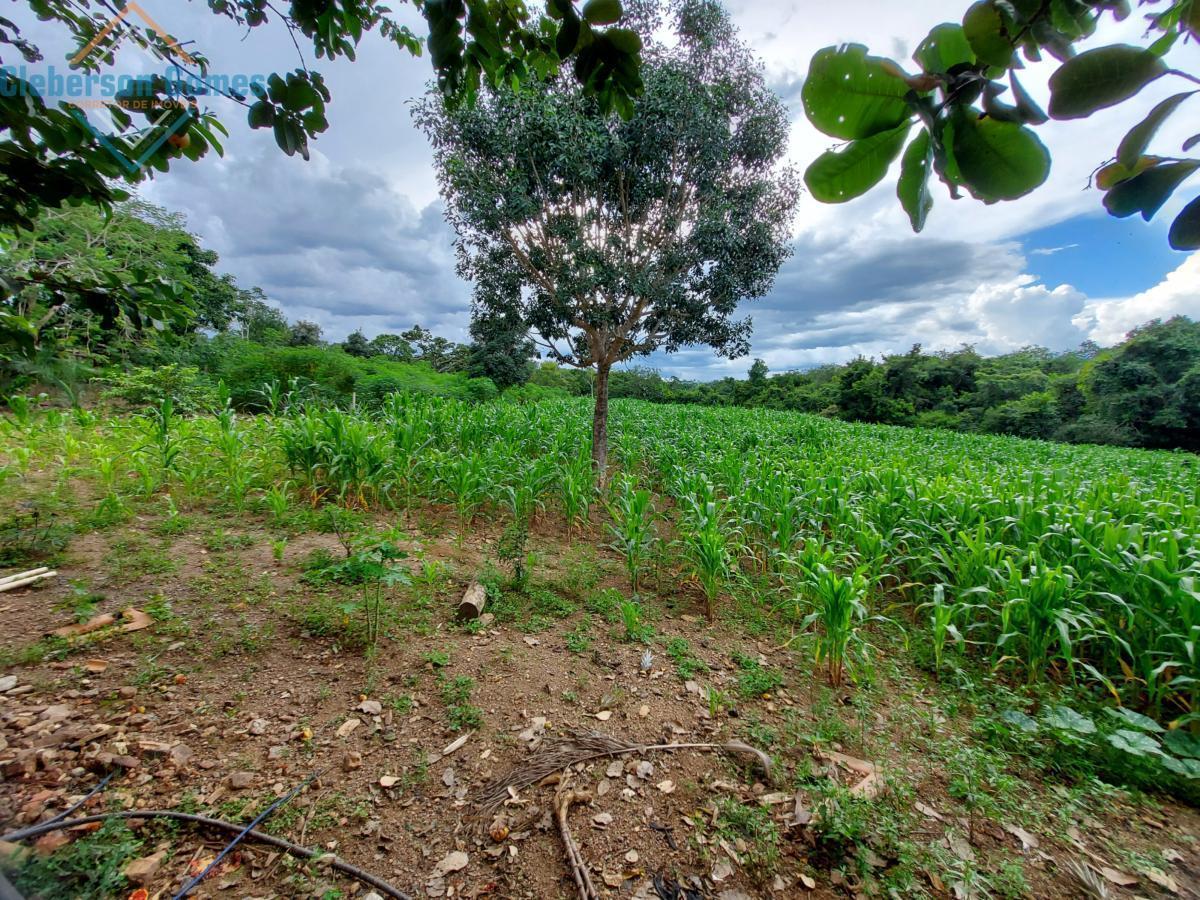 Fazenda à venda com 3 quartos, 1m² - Foto 31