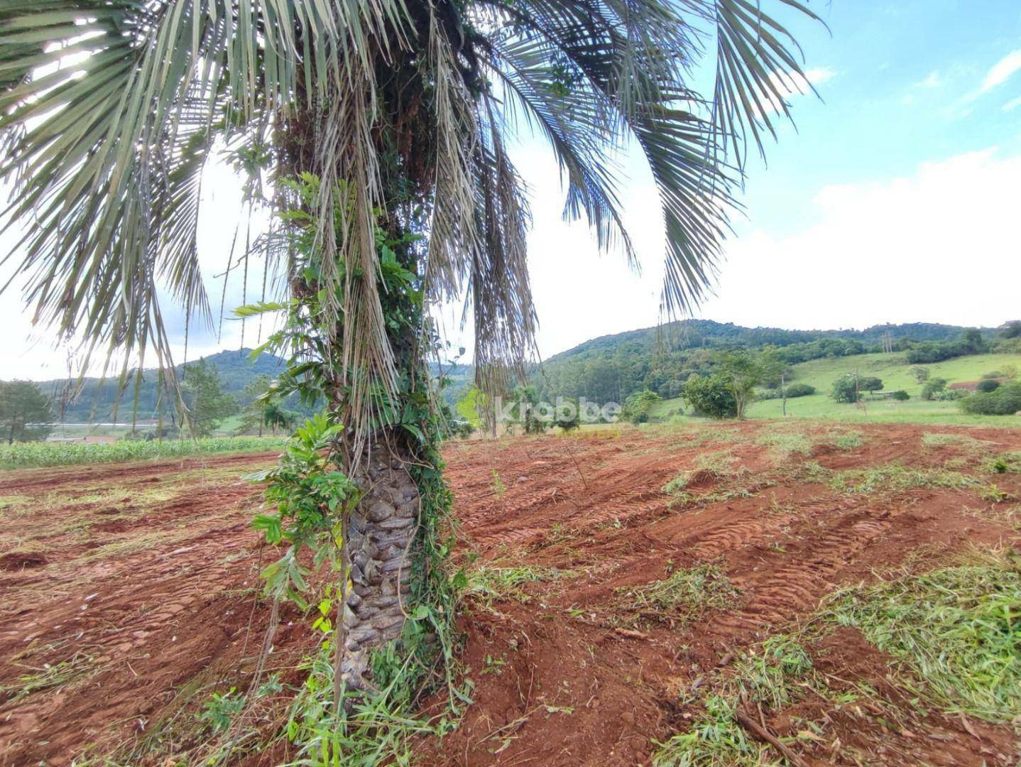 Terreno à venda, 17000M2 - Foto 8