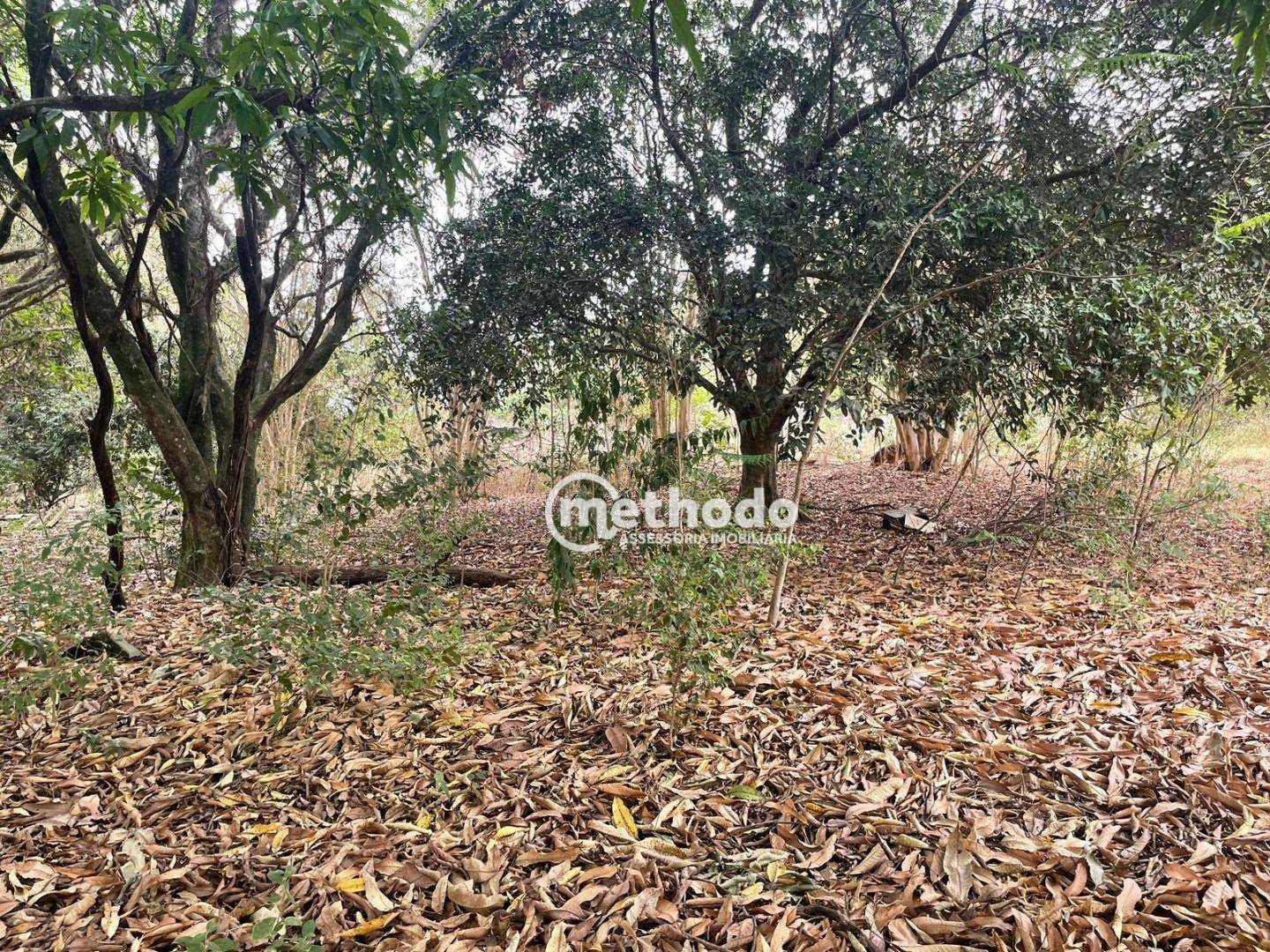 Terreno à venda, 1032M2 - Foto 9