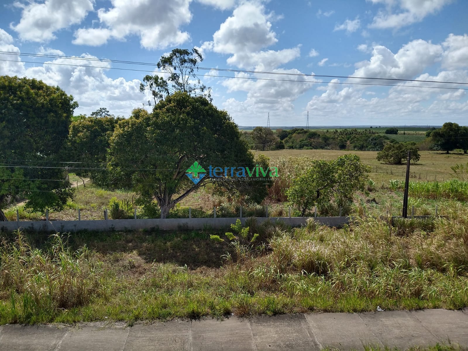 Fazenda-Sítio-Chácara, 19 hectares - Foto 2