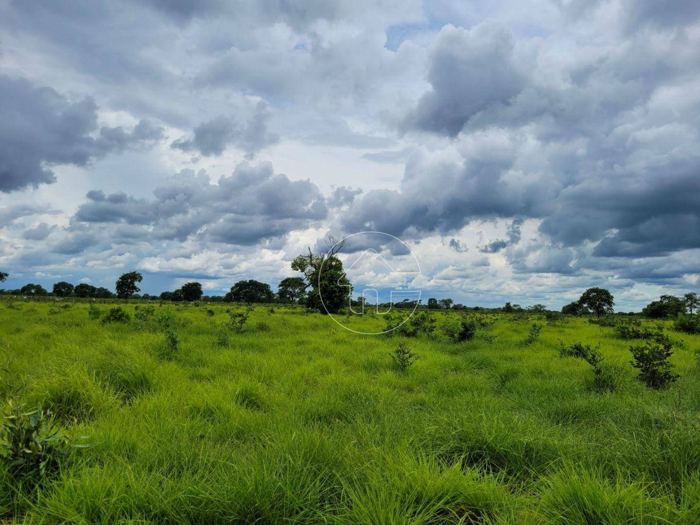 Fazenda à venda, 61350000M2 - Foto 8