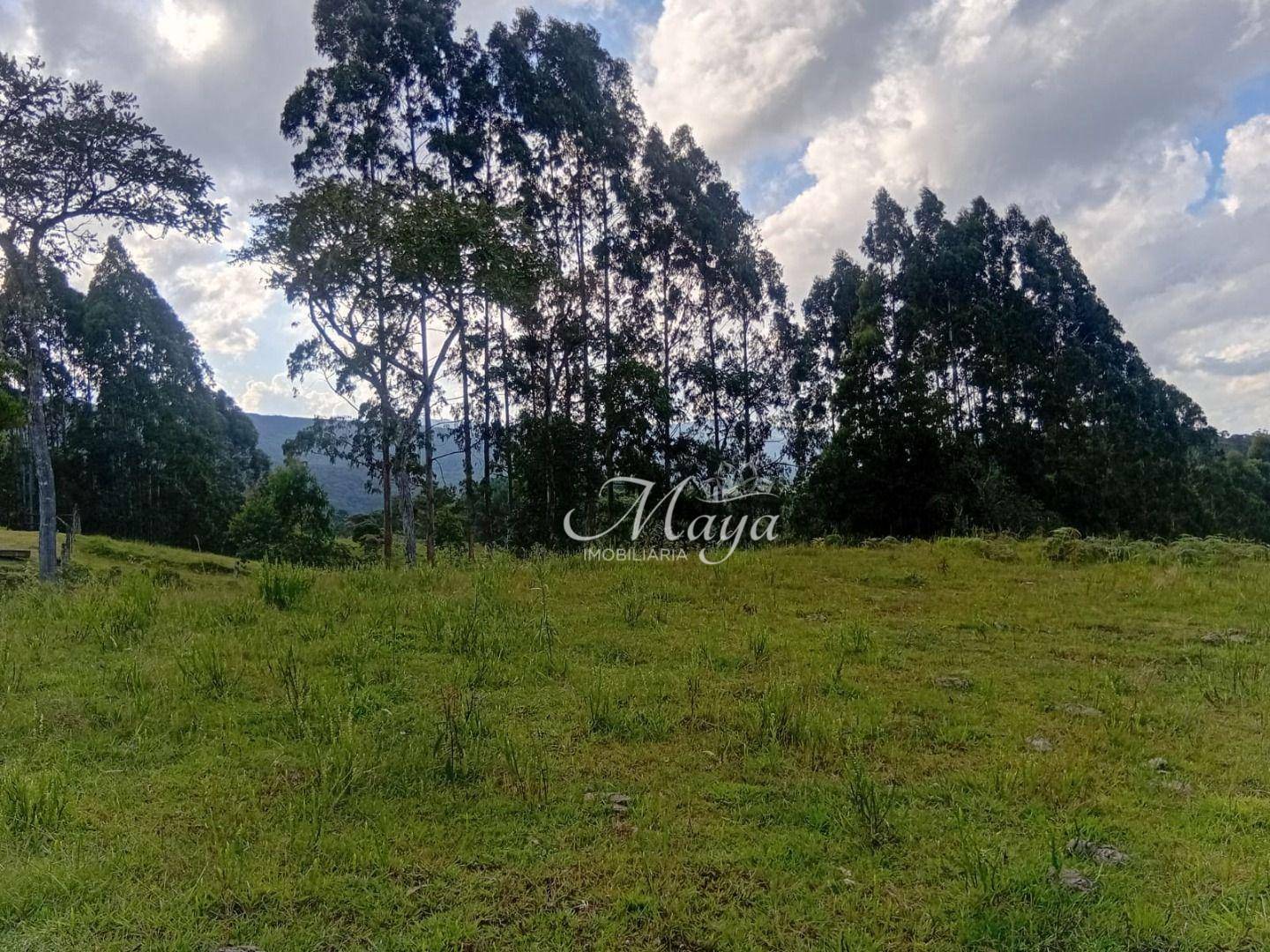 Terreno à venda, 140000M2 - Foto 14