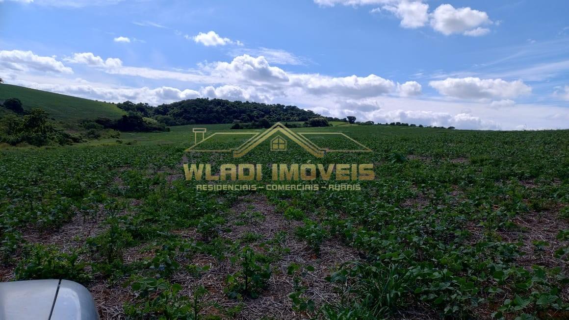 Fazenda à venda, 160m² - Foto 24