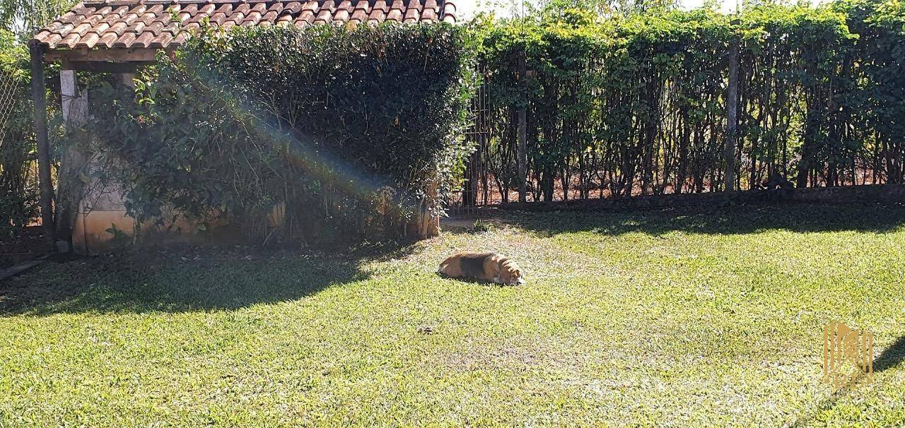 Sítio, 3 quartos, 4 hectares - Foto 5