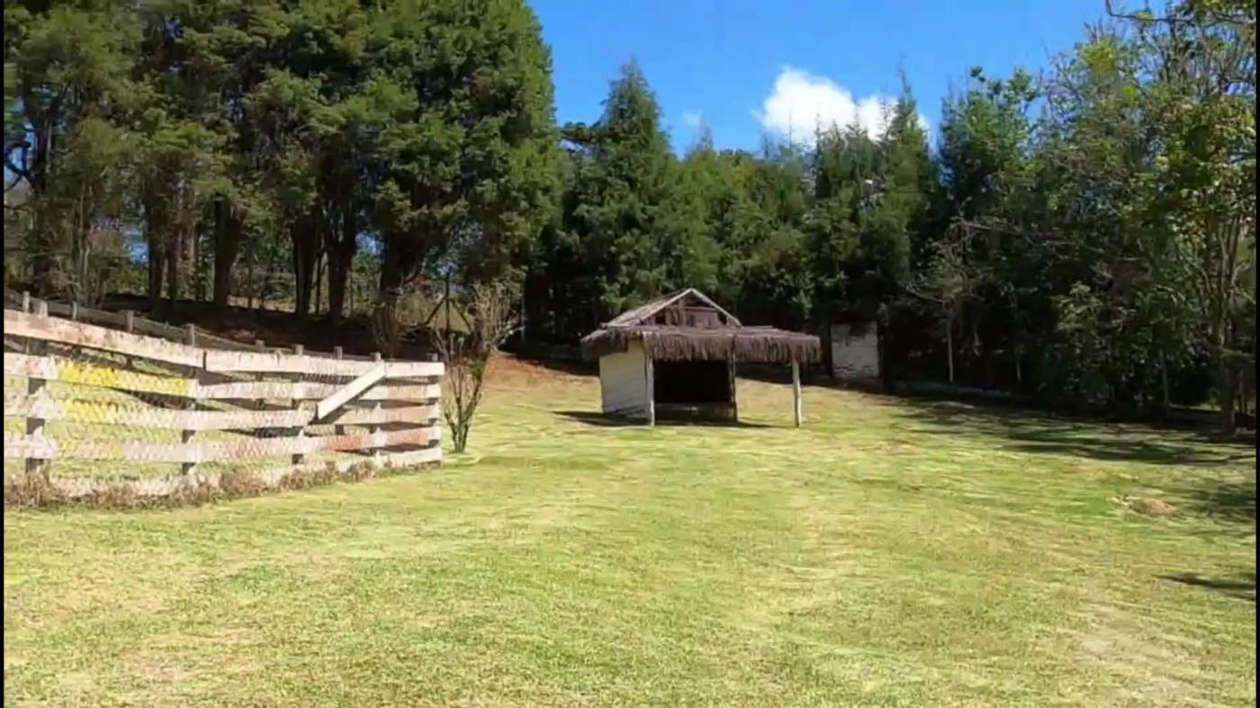Terreno à venda, 5000m² - Foto 14
