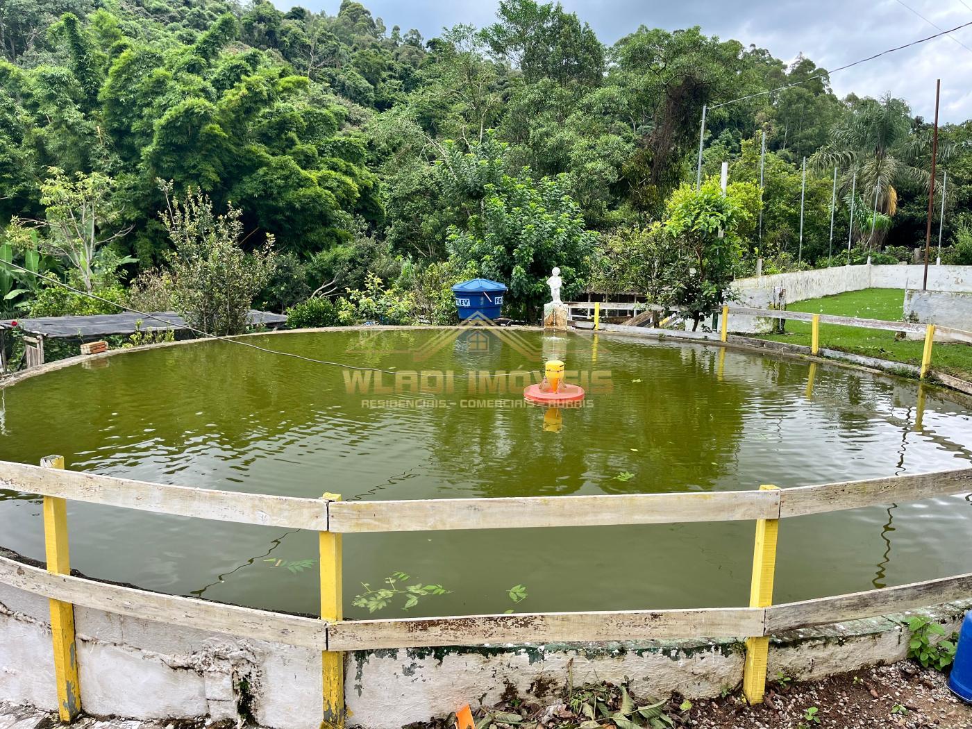Chácara à venda com 6 quartos, 5000m² - Foto 1