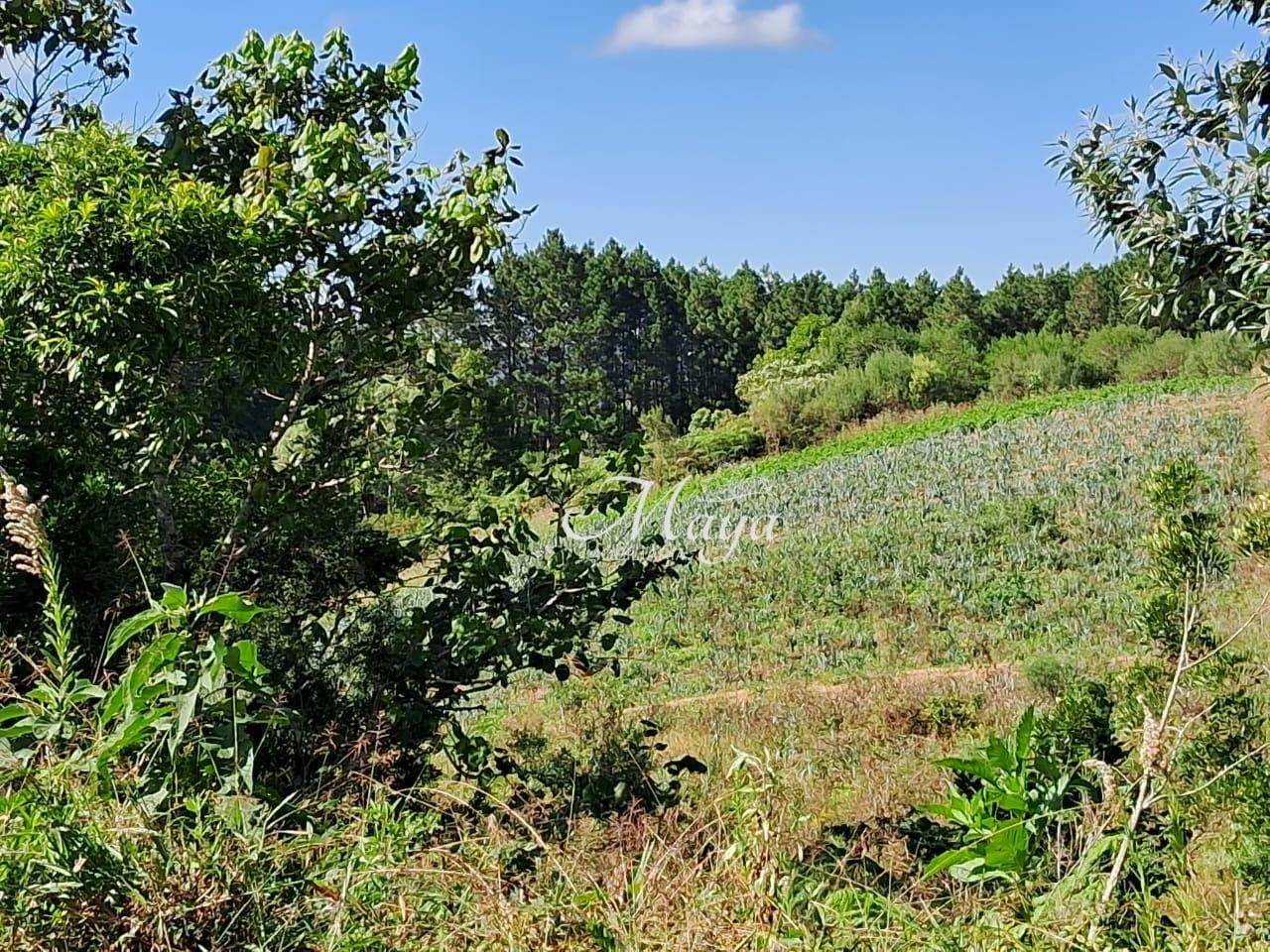 Terreno à venda, 100000M2 - Foto 10