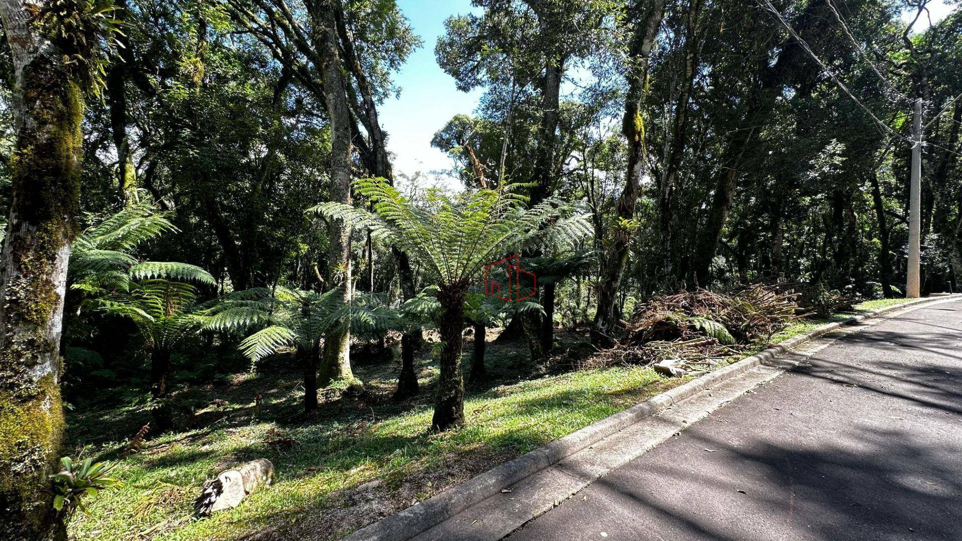 Loteamento e Condomínio à venda, 1096M2 - Foto 1