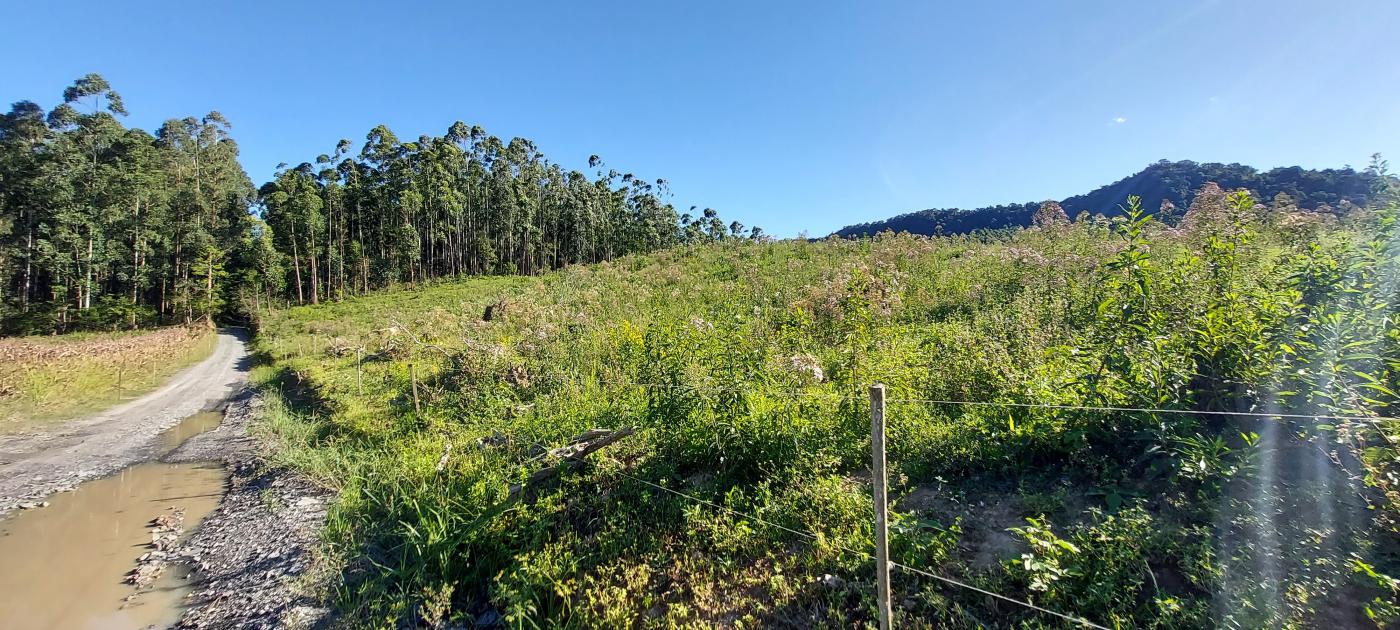 Fazenda à venda, 100000m² - Foto 9