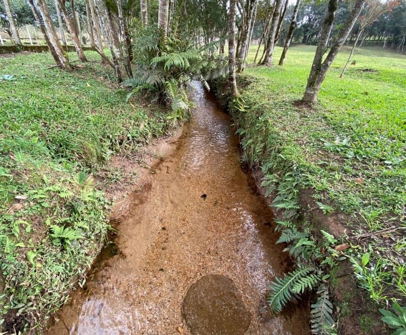 Chácara, 10000 m² - Foto 41