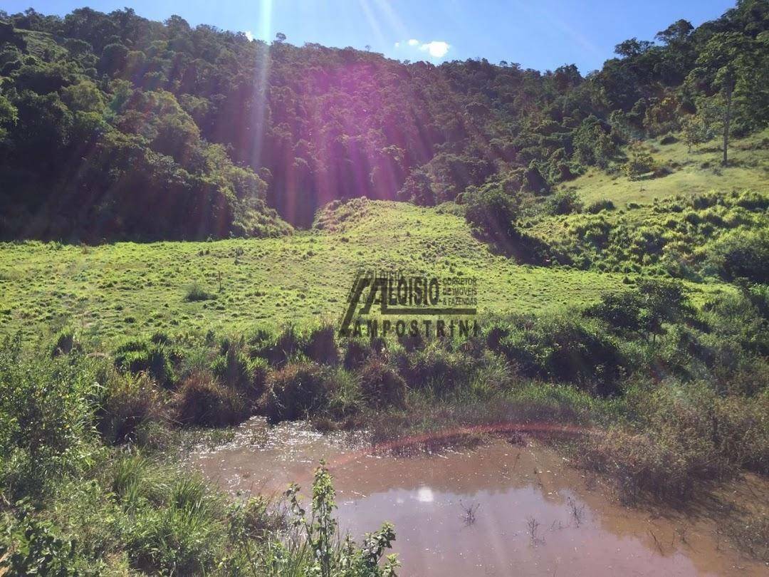 Fazenda à venda, 2420000M2 - Foto 5