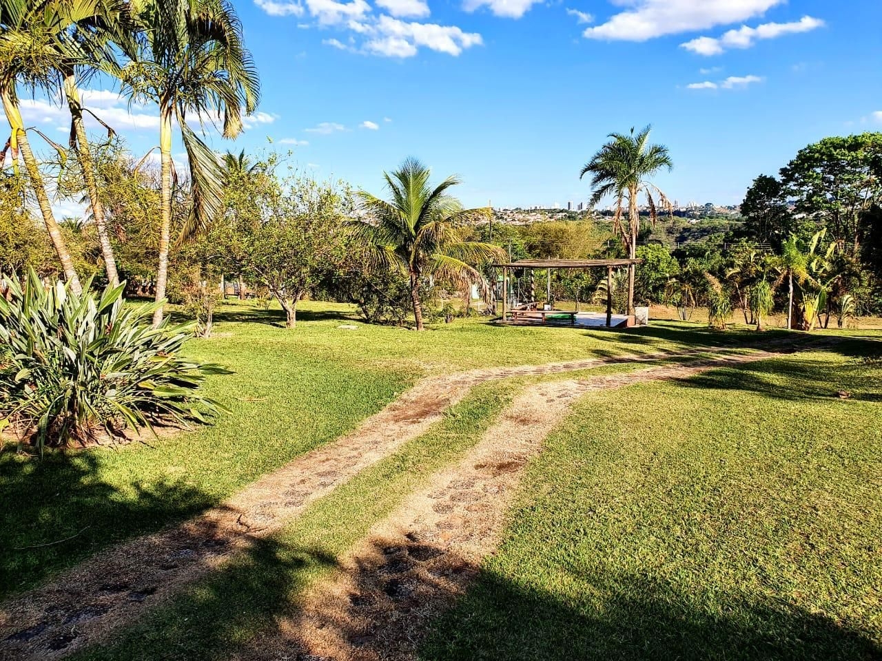 Fazenda à venda com 3 quartos, 500m² - Foto 4