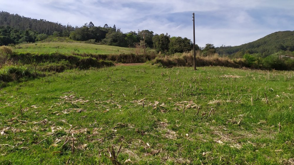 Fazenda à venda com 4 quartos, 12m² - Foto 7