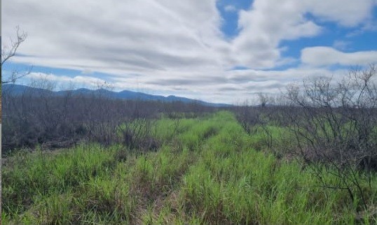 Fazenda à venda, 7300m² - Foto 6