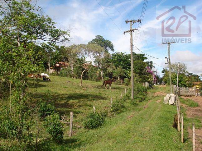 Terreno à venda, 10000M2 - Foto 2