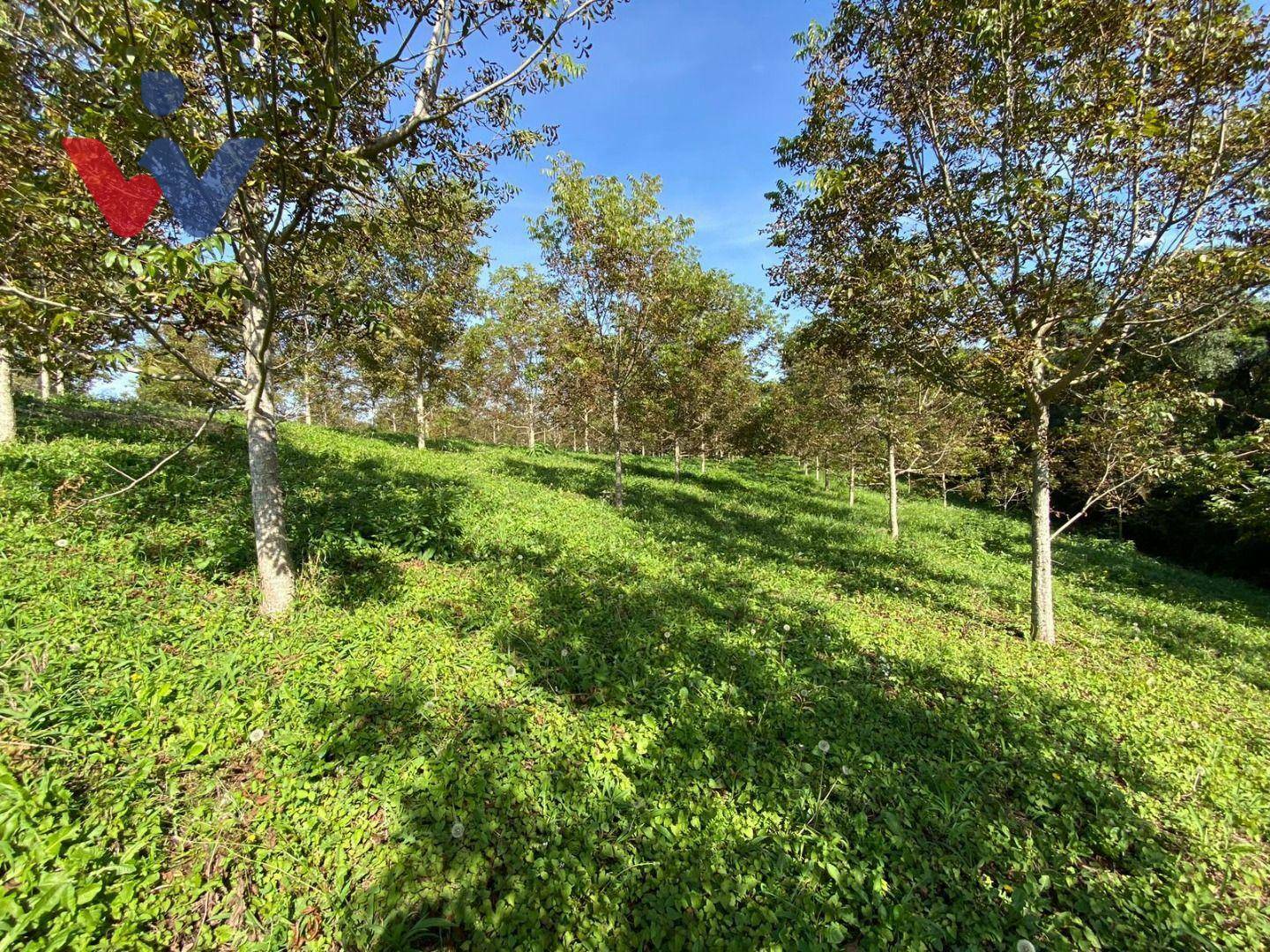 Chácara à venda com 1 quarto, 47270M2 - Foto 6