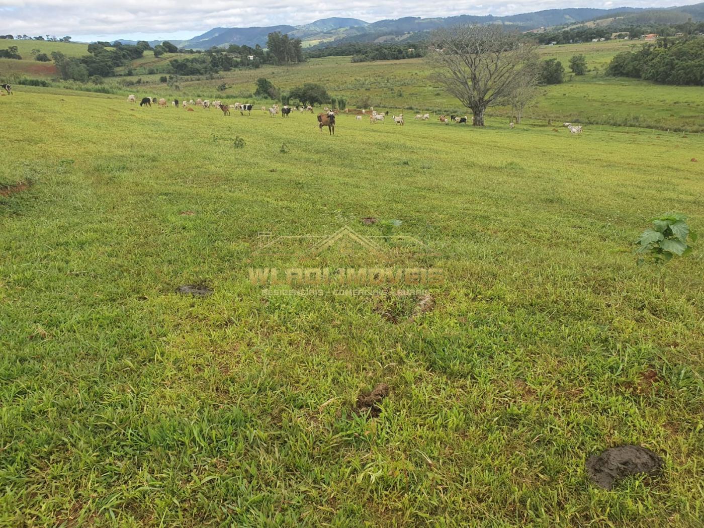 Fazenda à venda, 150m² - Foto 1