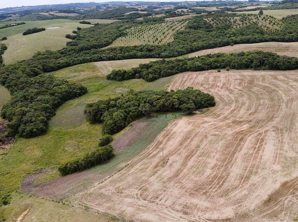 Fazenda à venda, 51m² - Foto 2