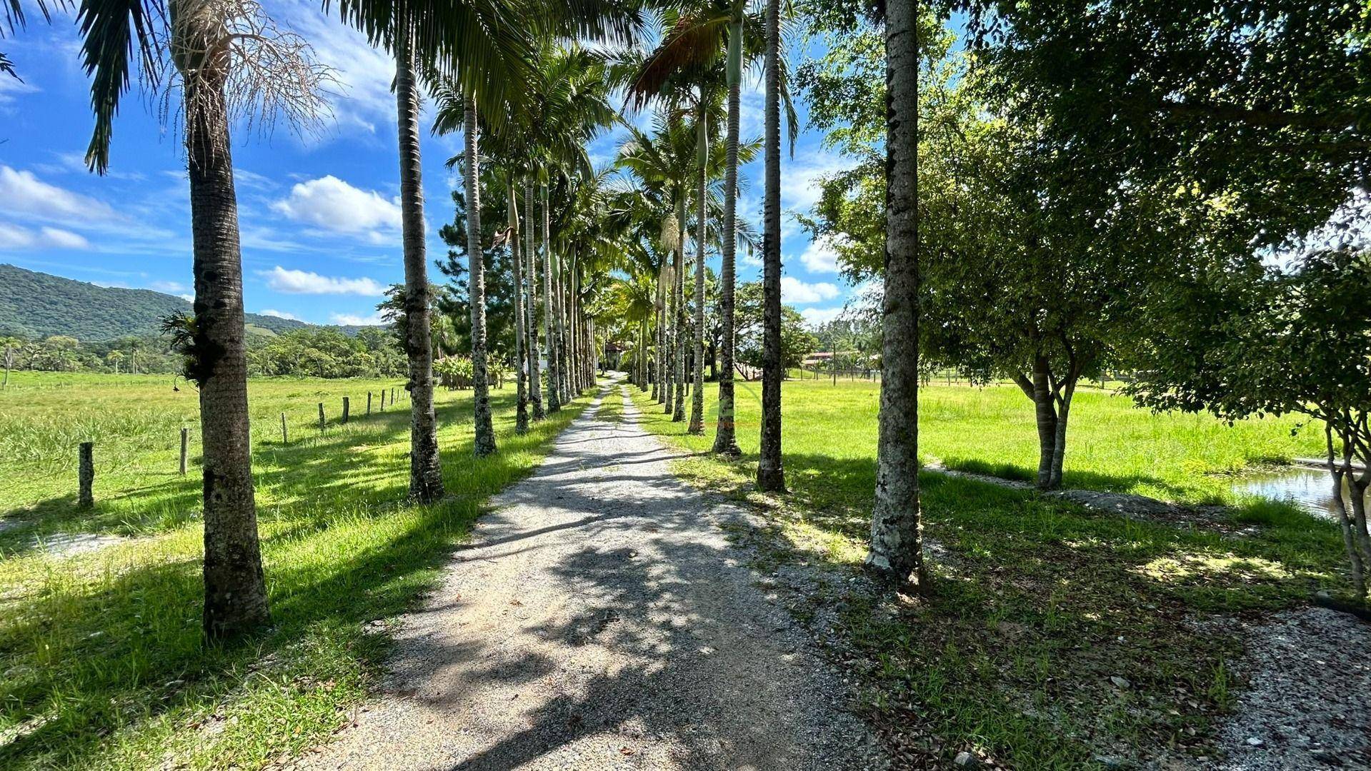 Chácara, 2 hectares - Foto 75