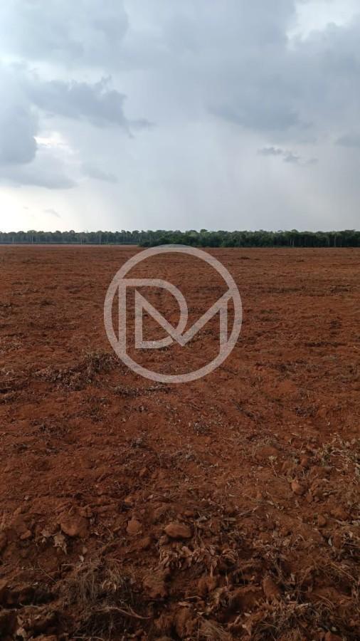 Fazenda, 2500 m² - Foto 3