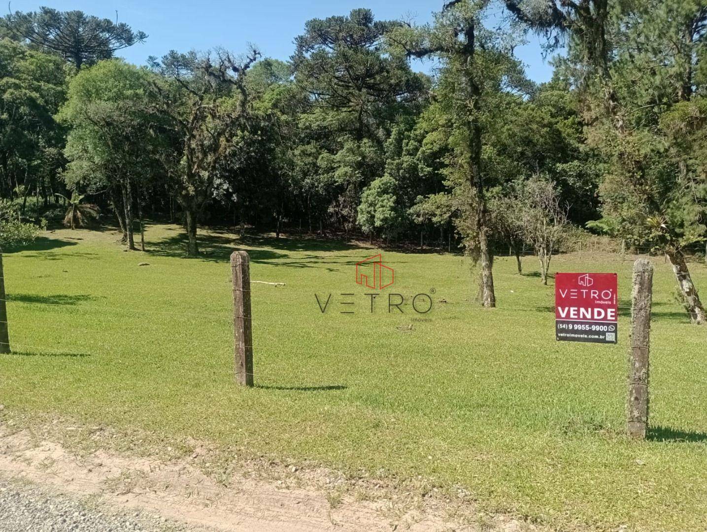 Terreno à venda, 3000M2 - Foto 6