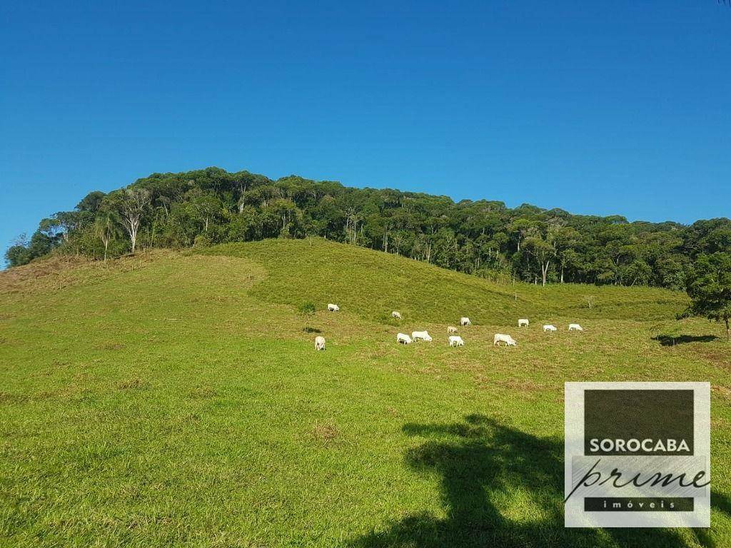 Fazenda à venda, 202000M2 - Foto 21