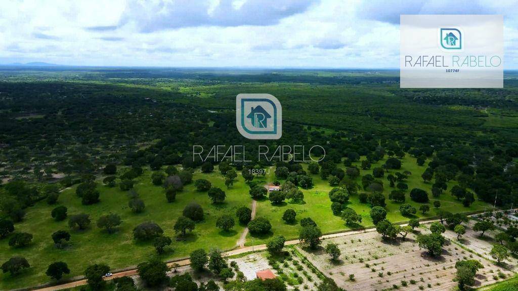 Fazenda-Sítio-Chácara, 162 hectares - Foto 3