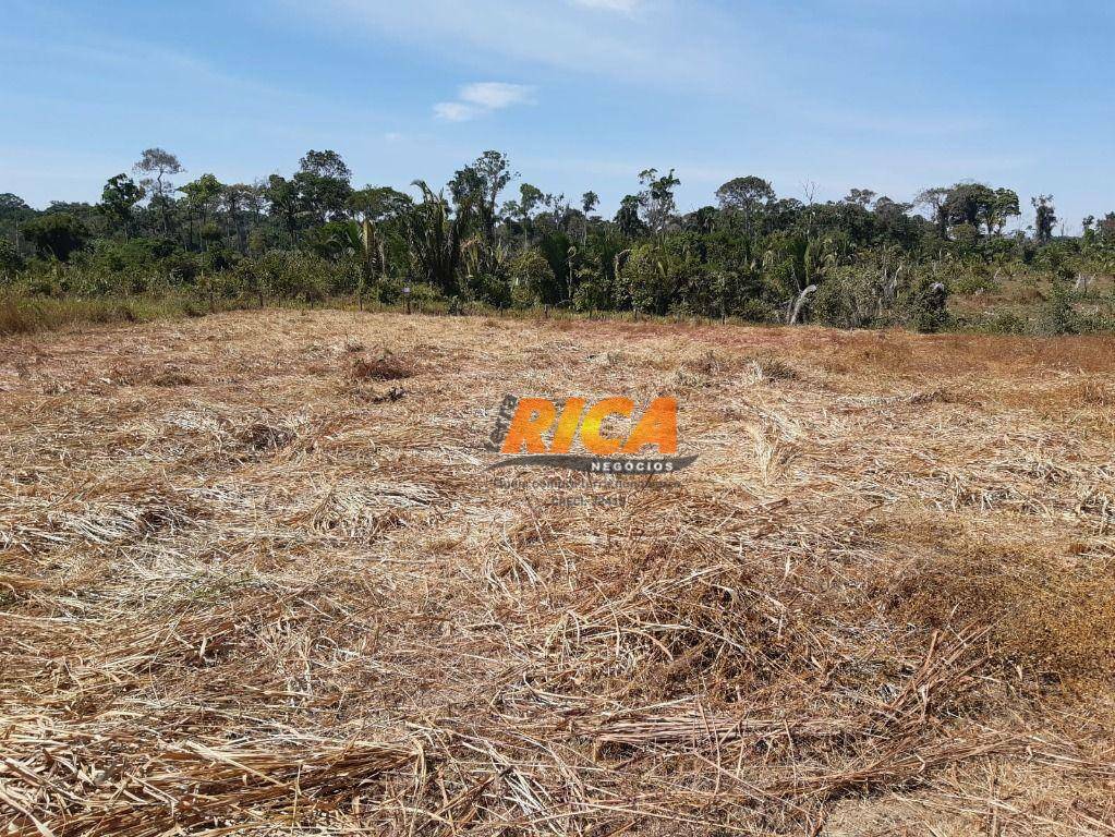 Chácara à venda, 13600M2 - Foto 13