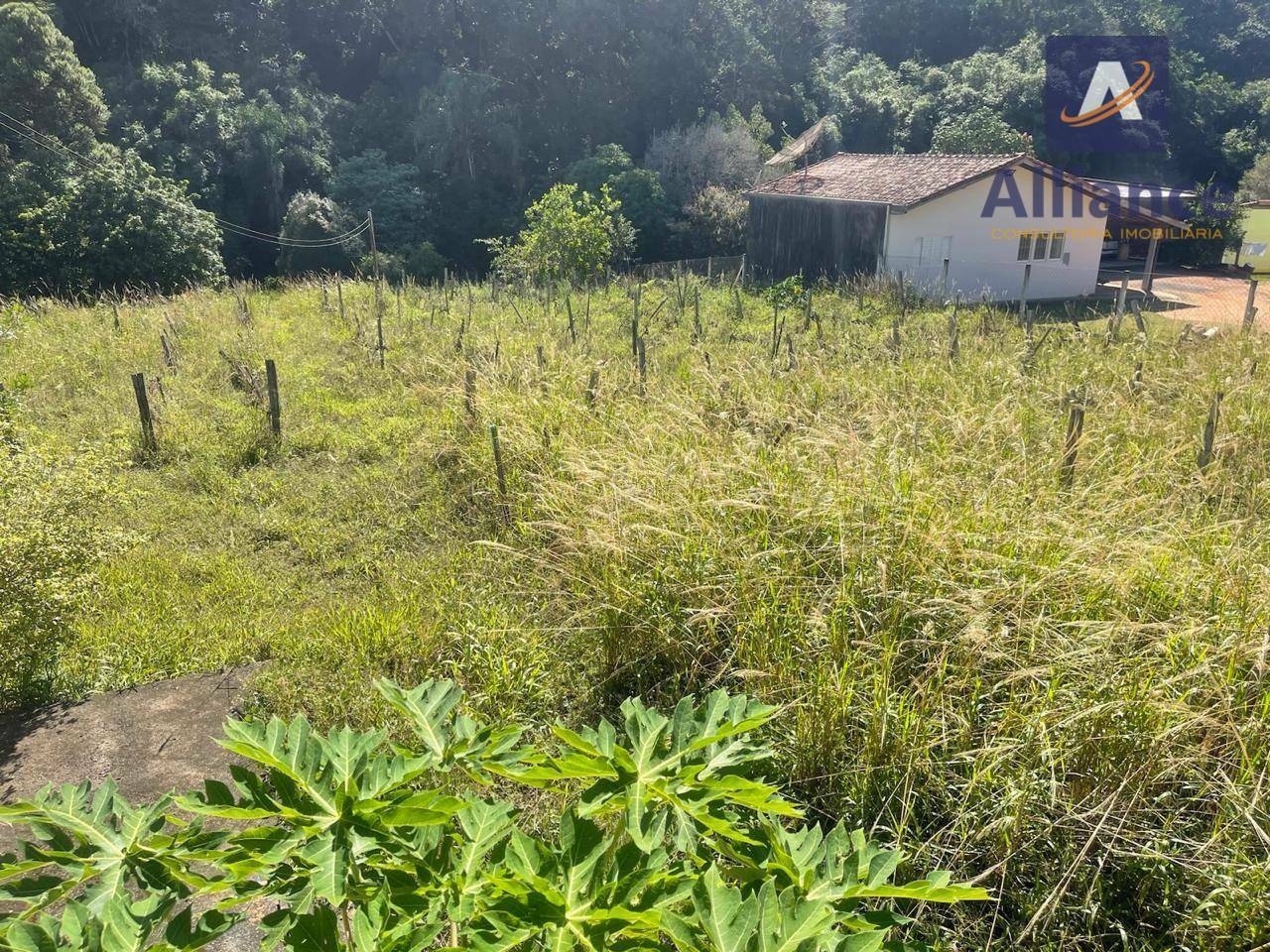 Terreno à venda, 1632M2 - Foto 7