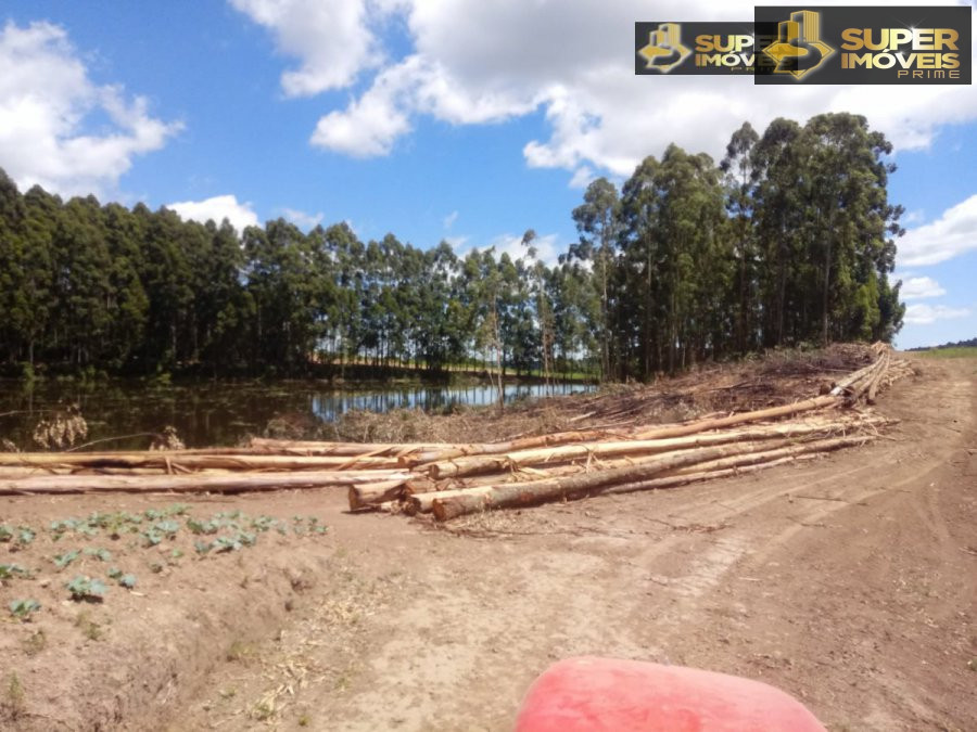 Fazenda à venda com 2 quartos, 450000m² - Foto 8