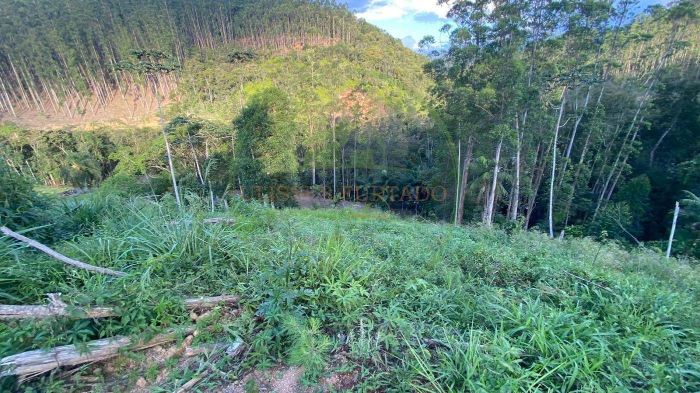 Sítio, 3 quartos, 11 hectares - Foto 7