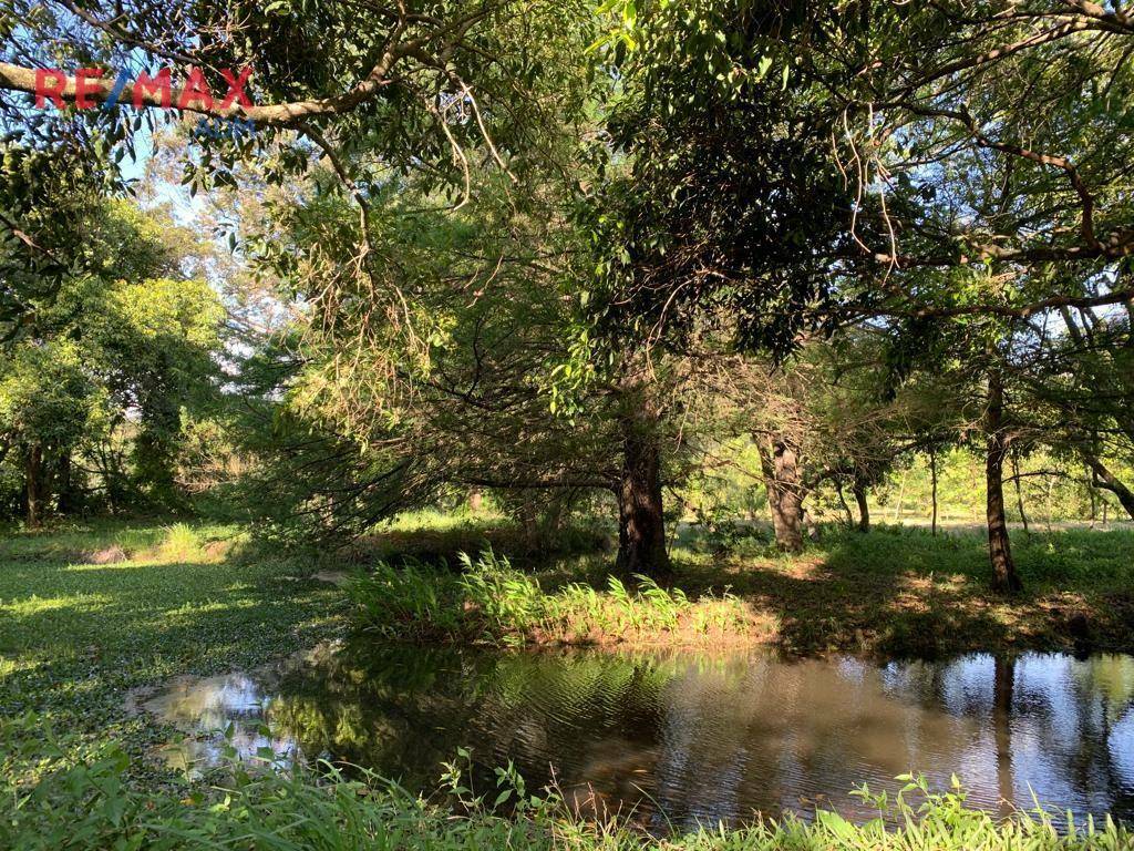 Terreno à venda, 72000M2 - Foto 21