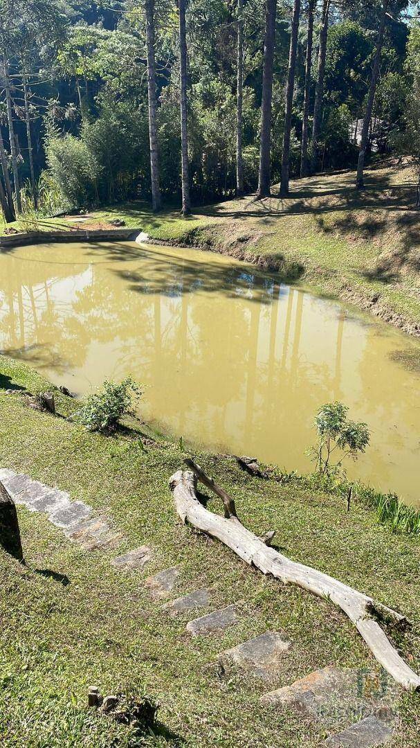 Chácara à venda com 6 quartos, 338800M2 - Foto 12