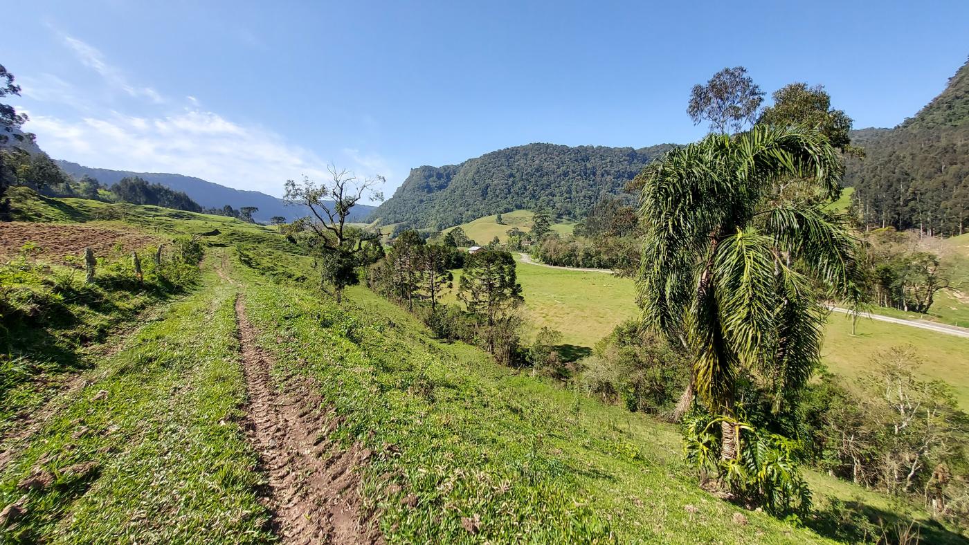 Fazenda à venda com 4 quartos, 101500m² - Foto 40