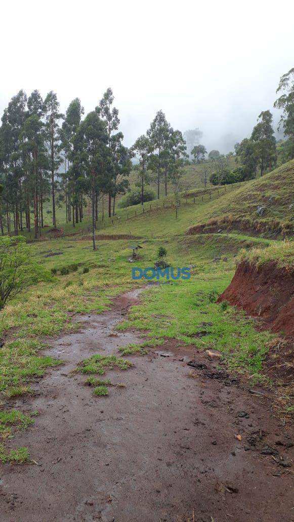 Terreno à venda, 24000M2 - Foto 6