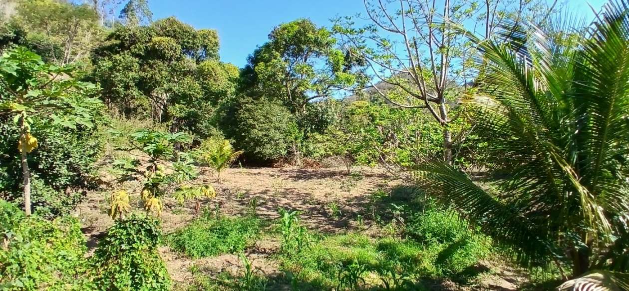 Sítio à venda com 1 quarto, 24800m² - Foto 20