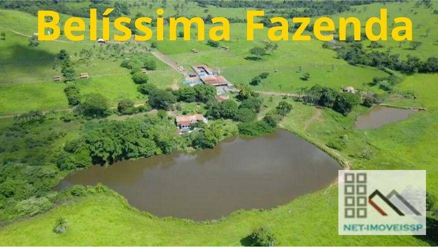 Fazenda à venda com 5 quartos, 500m² - Foto 1