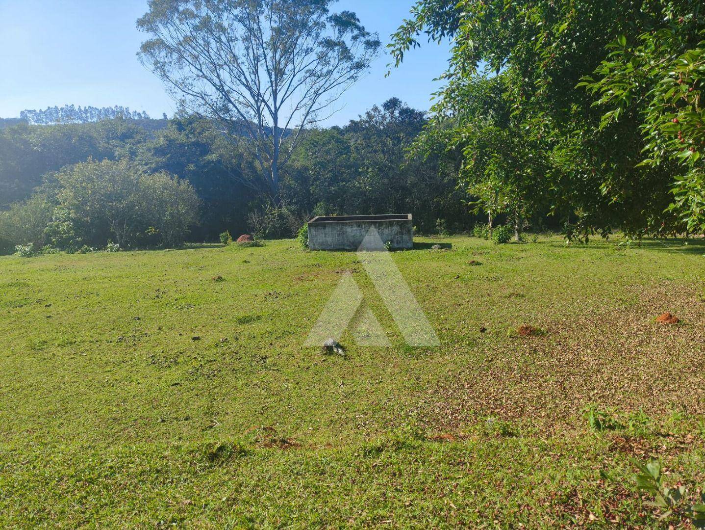 Chácara, 4 quartos, 3000 m² - Foto 3