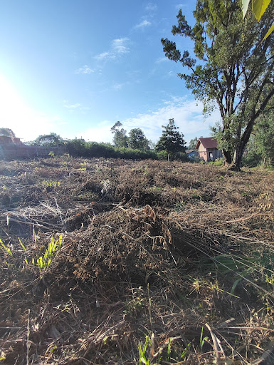 Terreno à venda, 350M2 - Foto 5