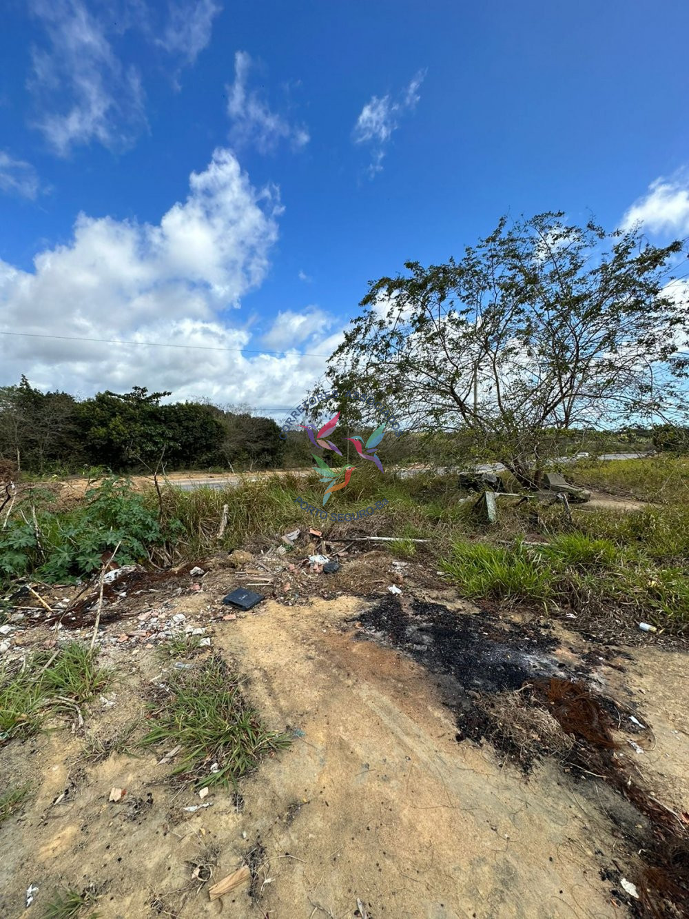 Terreno à venda, 3985m² - Foto 6