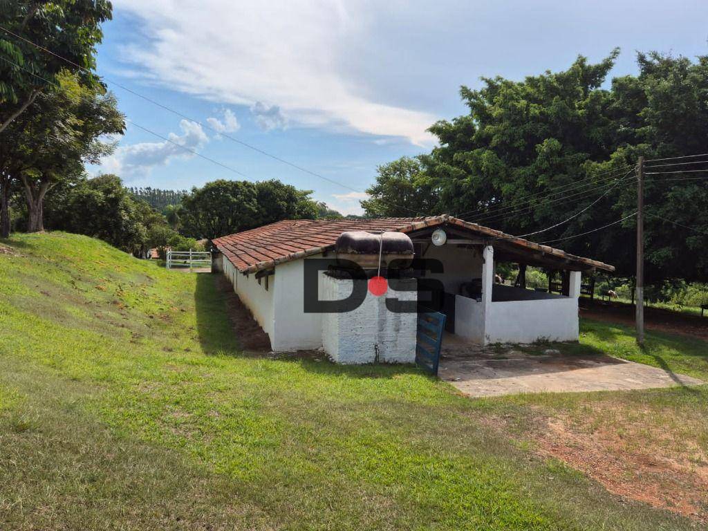 Sítio, 10 quartos, 29 hectares - Foto 10