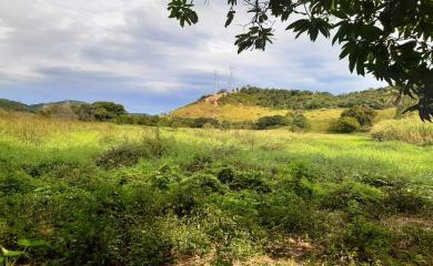 Fazenda à venda com 3 quartos, 110000m² - Foto 4