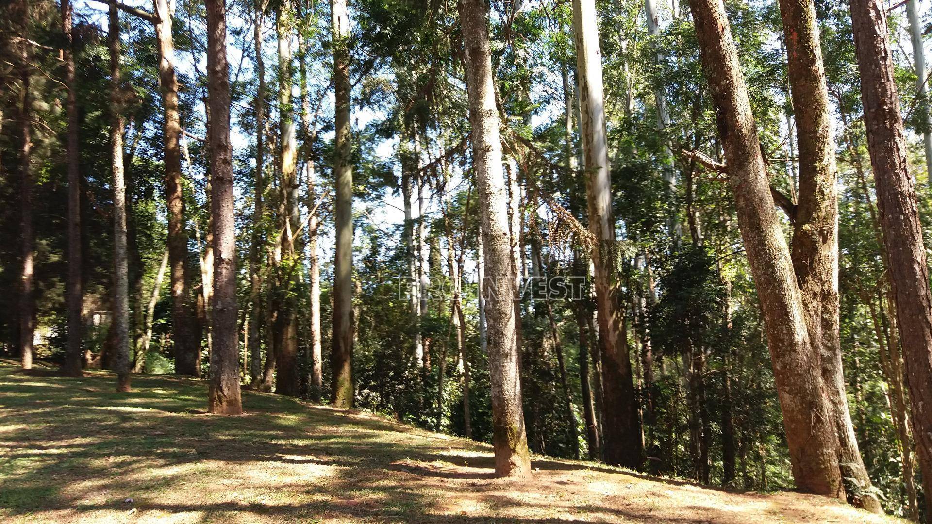 Loteamento e Condomínio, 3688 m² - Foto 12