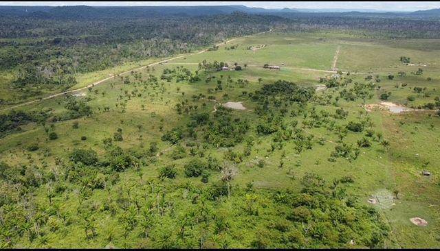 Fazenda-Sítio-Chácara, 936 hectares - Foto 6