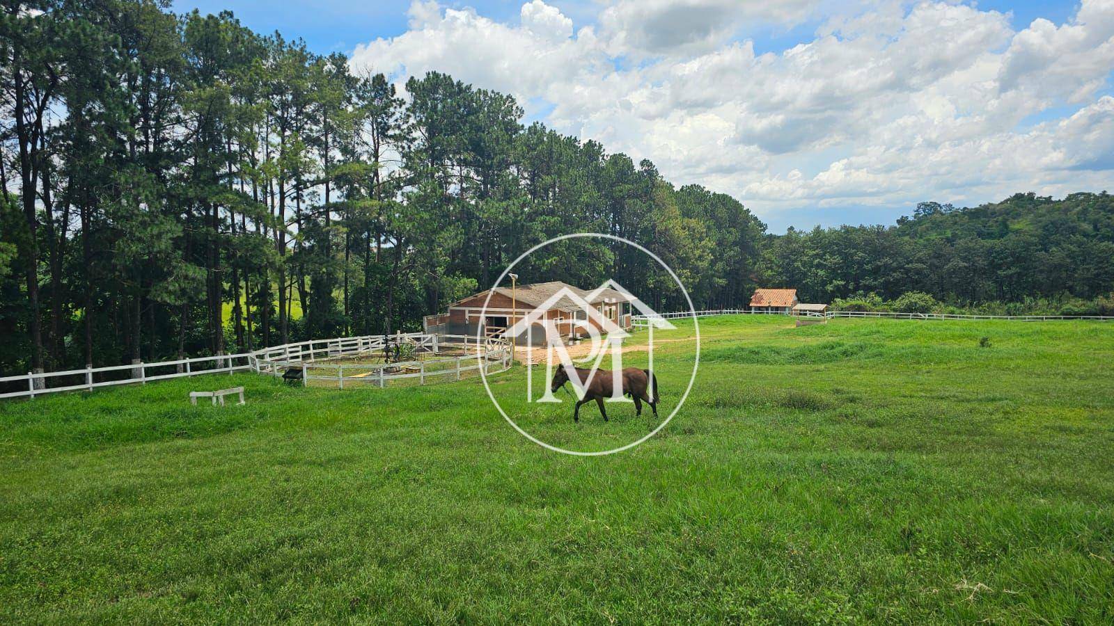 Haras e Área Rural Padrão à venda com 3 quartos, 27000M2 - Foto 22