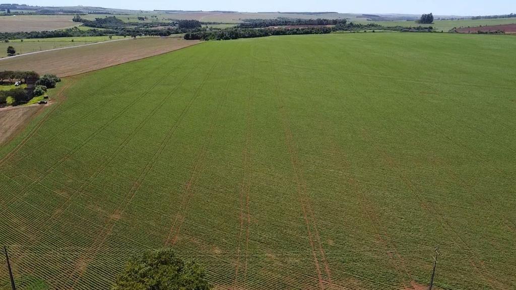 Fazenda à venda com 2 quartos, 1210000m² - Foto 9